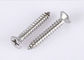 Nickel Plated CSK Head Self Tapping Screw 3.5/3.9/4.2*(16~100)mm supplier